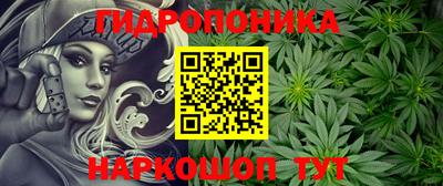 меф Кингисепп