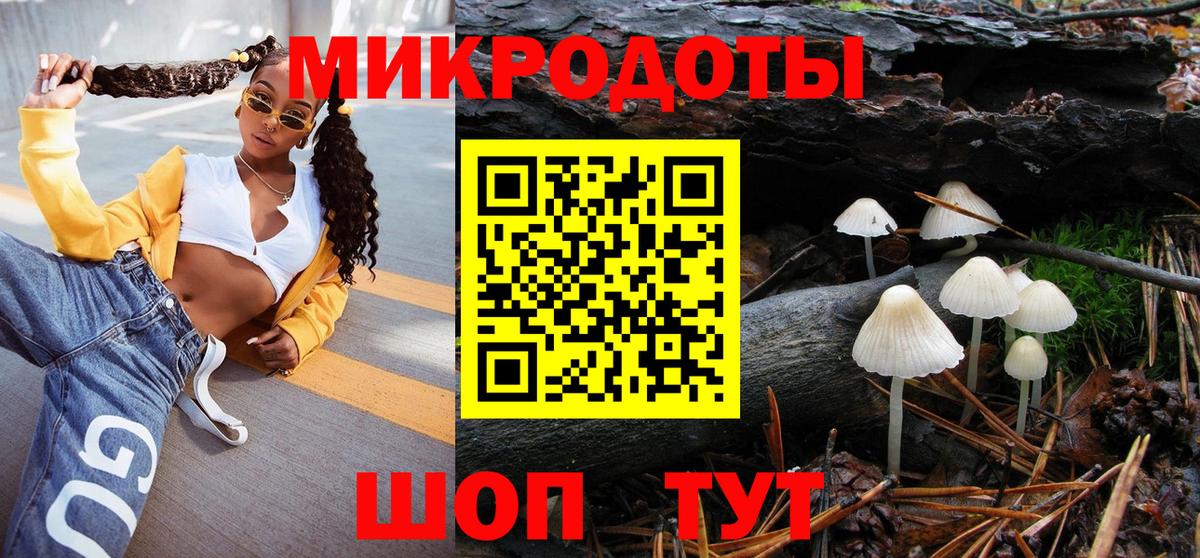 Псилоцибиновые грибы Cubensis Хасавюрт