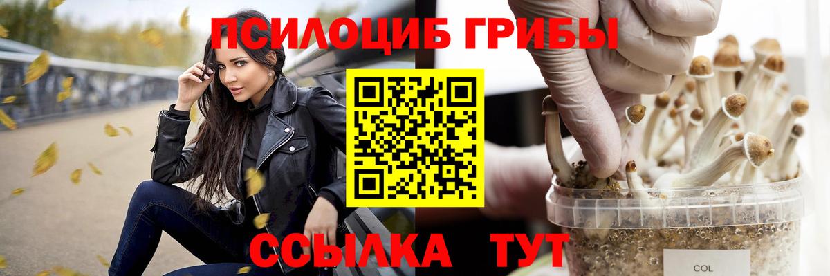 Галлюциногенные грибы Psilocybe  Псилоцибиновые грибы мухоморы  Вход с VPN  Хасавюрт 